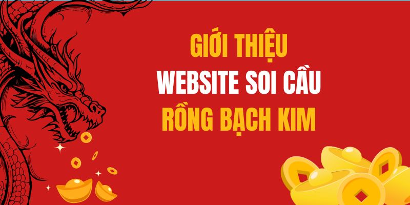 Lưu ý khi soi cầu 